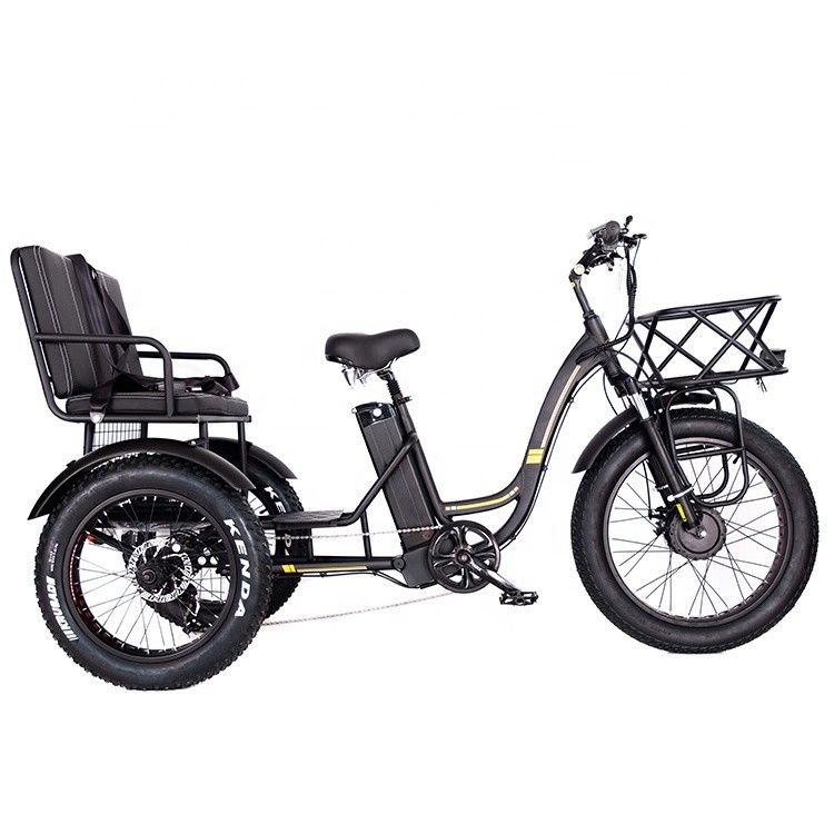 Triciclo eléctrico de aluminio ligero 48V 750W 21AH 50KM/H para pasajero adulto