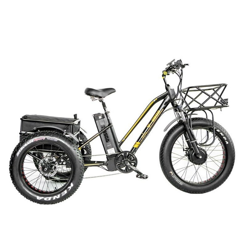 Freno de disco 750W Triciclo eléctrico de carga neumático de grasa de 3 ruedas E Trike para viajes de larga distancia