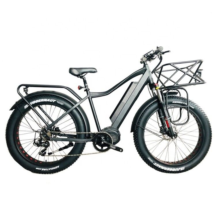 Mercado de EE.UU. EN15194 CPSC 48V 1000W 17AH Bicicleta eléctrica de montaña con motor medio Bafang