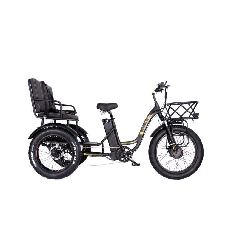 16.7 Ah Capacidad de la batería 750 WAT RICKSHAW DE DEBE pesado triciclo eléctrico para pasajeros