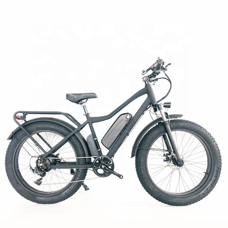 48V 1000W 17AH 50KM/H EE.UU. OEM neumático de grasa personalizado bicicleta eléctrica de montaña para carga