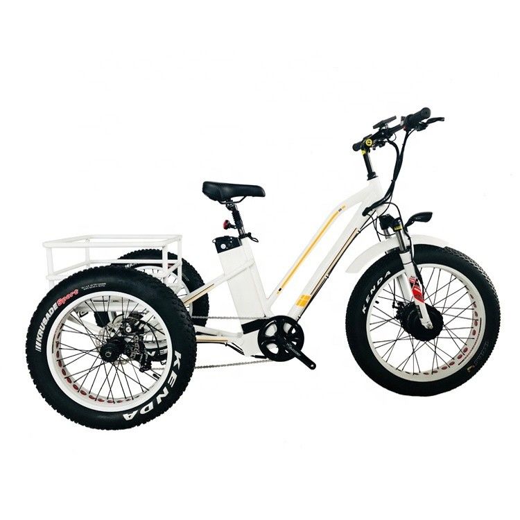 48V 14AH Cestión trasera 4.0 neumático de nieve Triciclo eléctrico de carga con certificación CE de EE.UU.