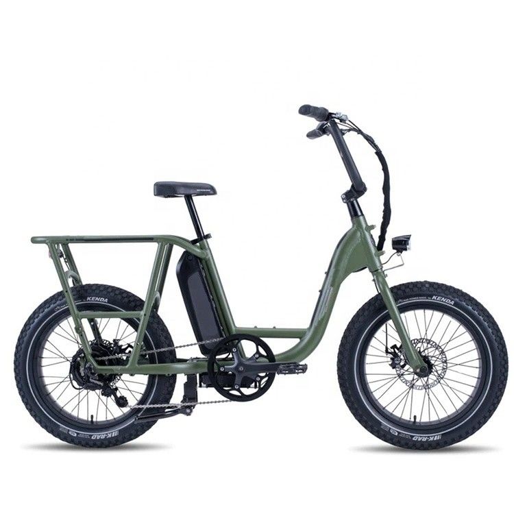Bicicleta de carga híbrida eléctrica de 48V 1000W 32MPH con neumático gordo de 20&quot;4.0 y par de 80-90 Nm