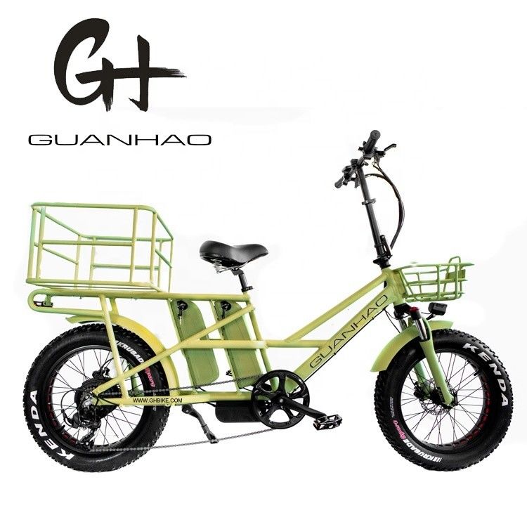 Cuadro de aleación de aluminio 48V34AH 1000W Fat Tire Ebike con dos baterías y dos cestas