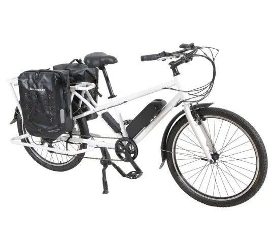 Rim de aluminio Longtail Cargo Electric Bikerd Bike Tipo estándar 48V1000W con En15194