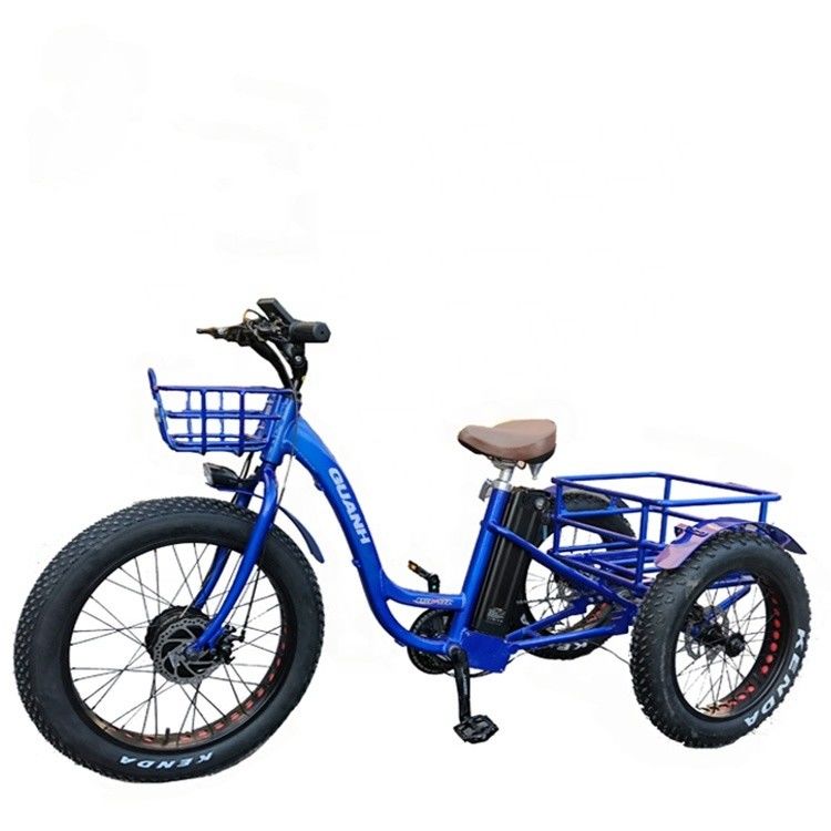 Conducción Tipo eléctrico 24&quot;x4.0 neumático de grasa Triciclo eléctrico de carga con motor de 48V 1000w