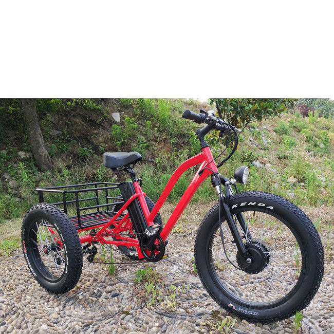 Bicicleta eléctrica de carga para adultos de 3 ruedas de 500W con borde de aluminio graso y certificado EN71